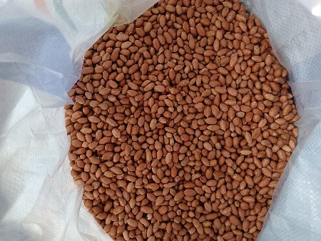 ગિરનાર ૪