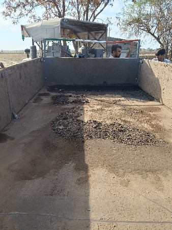 ટોલી વેચવાની છે