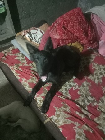 थंबनेल 2