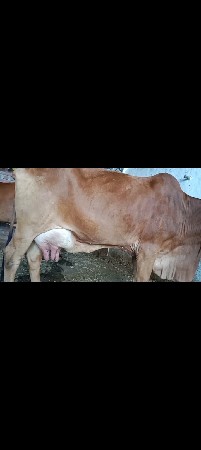 थंबनेल 2