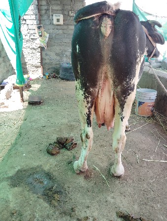 थंबनेल 2