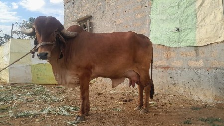 थंबनेल 2