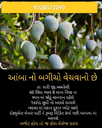 આંબા નો બગીચો વેચવાનો છે