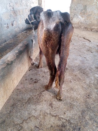 थंबनेल 3