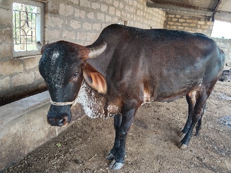 थंबनेल 3