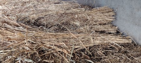 સાર વેચવાની છે ઊઘડી ૧૦૦૦૦ ની