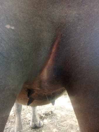 थंबनेल 3