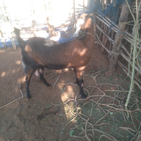 थंबनेल 2