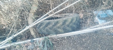 थंबनेल 3