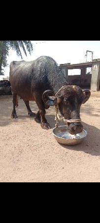 થંબનેલ 3