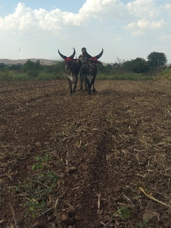 નાથાહમીરલાલકા