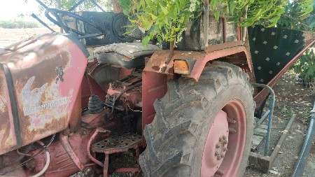 थंबनेल 3