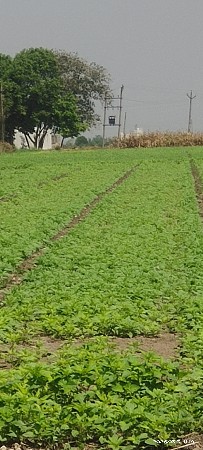 ટ્રક્ટર ભાડે મુકવાનું સે..