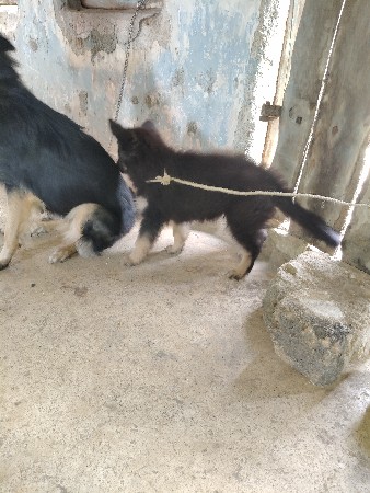 थंबनेल 2