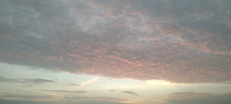 સોલાર પ્લાન્ટ