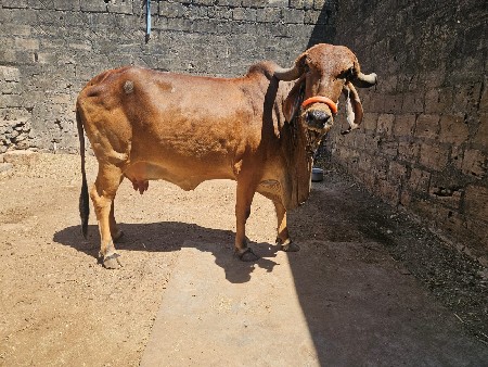 थंबनेल 3