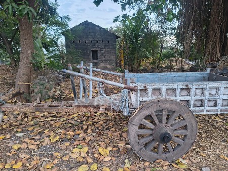 थंबनेल 3