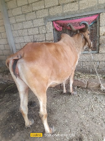 थंबनेल 3