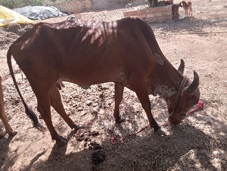 थंबनेल 2