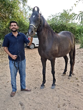 थंबनेल 2