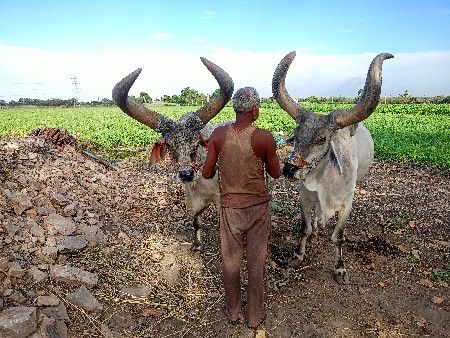 થંબનેલ 3