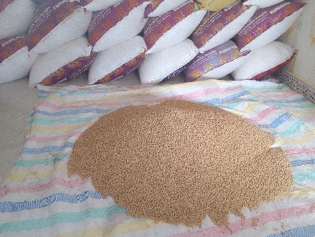 સોયાબિન બિયારણ