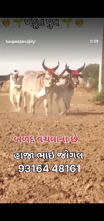 વઢિયારા વેચવાનાછે