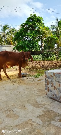 થંબનેલ 2