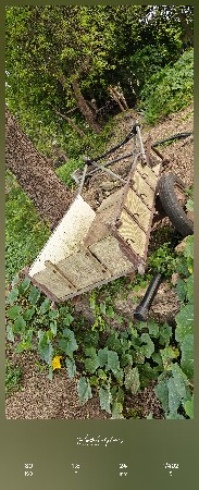 બળદ ગાડું વેચવાનું છે