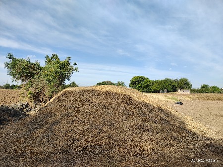 ભૂકો વેચવાનો છે