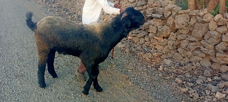 थंबनेल 2