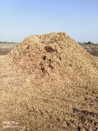 ચણા નુ ખારીયુ વસાવા નુ છૅ