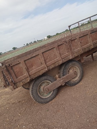 थंबनेल 3