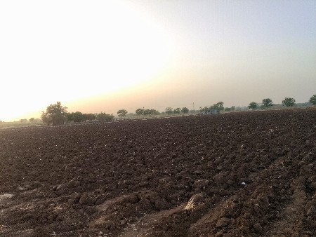 જમીન લેવાની છે 500 વીઘા એકદમ સરખી
