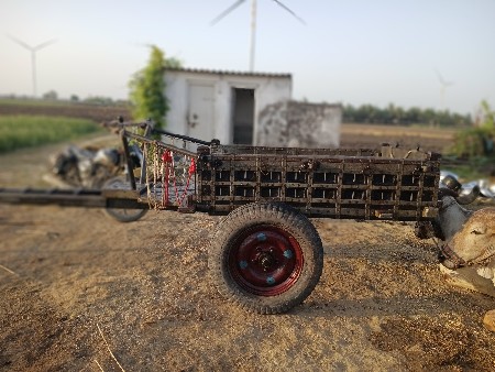 थंबनेल 3