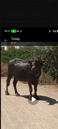 थंबनेल 2