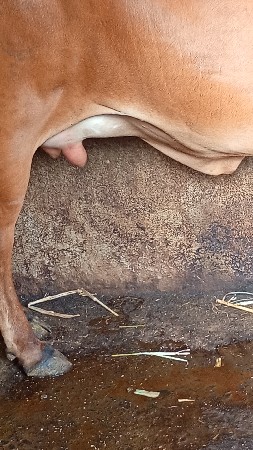 थंबनेल 3