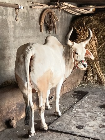 थंबनेल 2