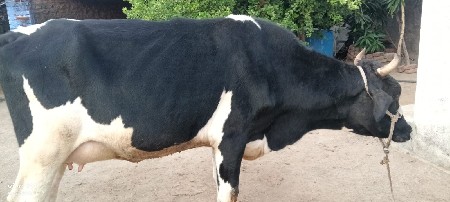 थंबनेल 3