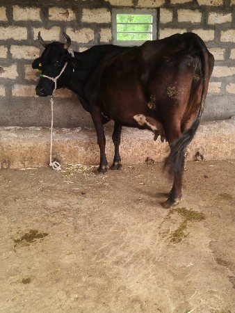 થંબનેલ 6