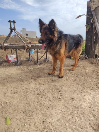 थंबनेल 3