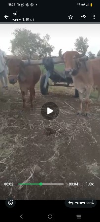 થંબનેલ 3