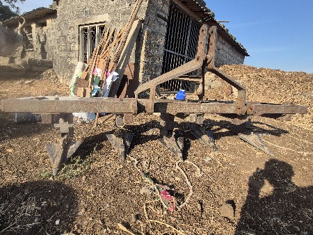 થંબનેલ 2