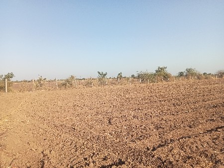 ખેતીની જમીન વેચવાની છે