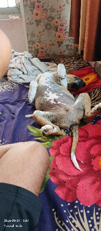 થંબનેલ 1