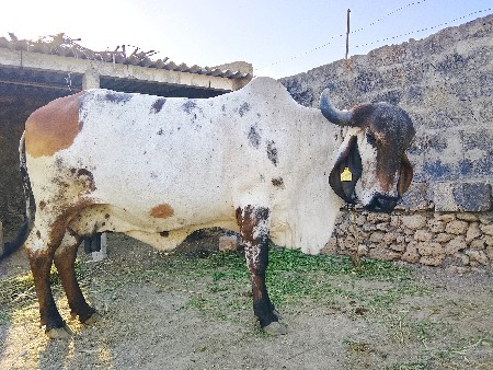 થંબનેલ 3