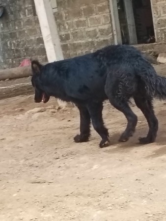 મેલ વેચવાનો છે