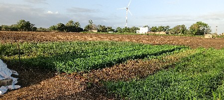 થંબનેલ 2