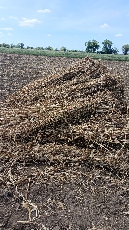 નિણ વેચવાની છે