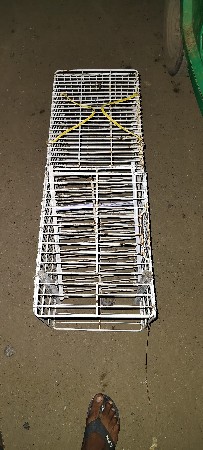 cat caching cage for sell